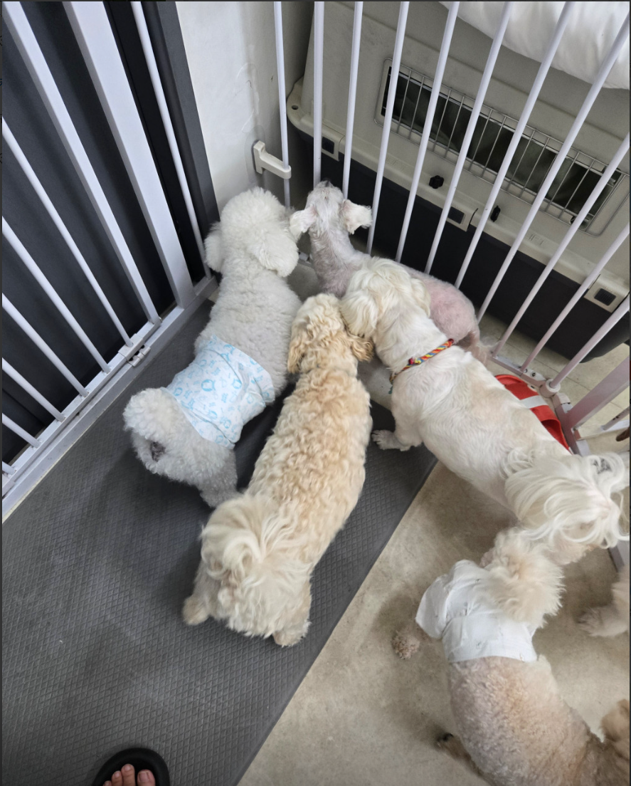 옹기종기 뒷모습